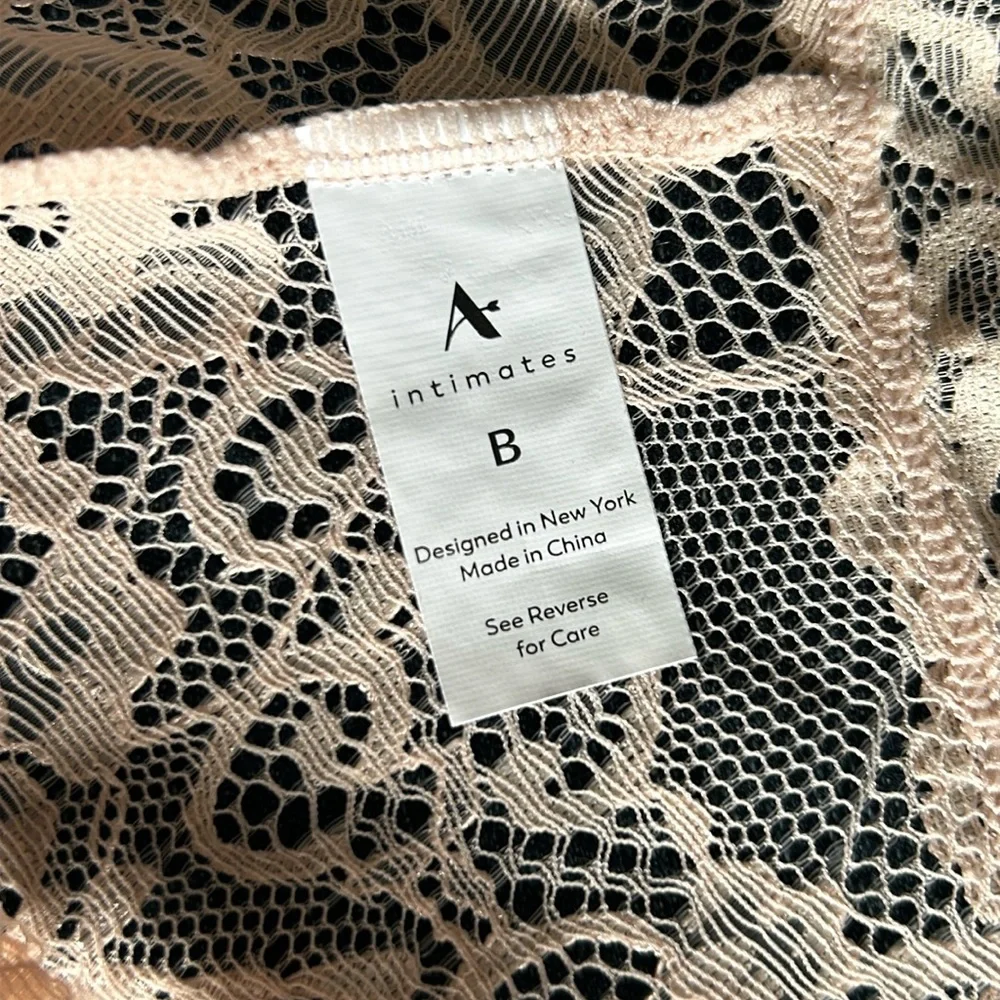 NWT Arula stretch lace cheeky panty, Arula size B, 2X